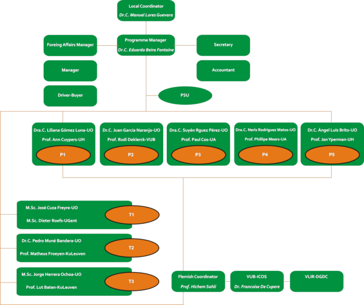 organogram-VLIR.png